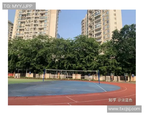 排球心理素质评比结果出炉深圳排球队荣登第五名引发关注