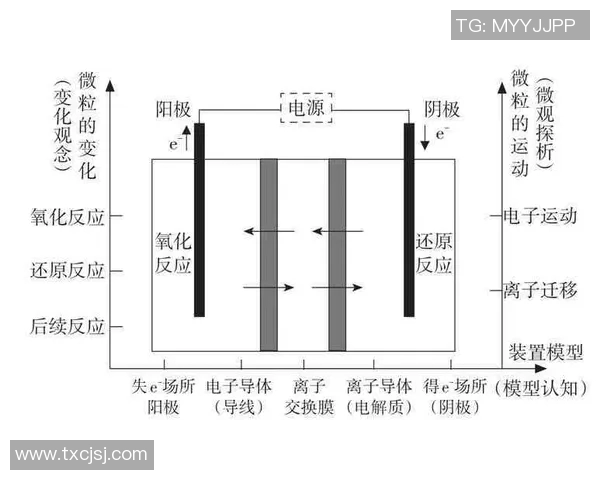 西安排球队在奥运会上的速度表现分析与点评