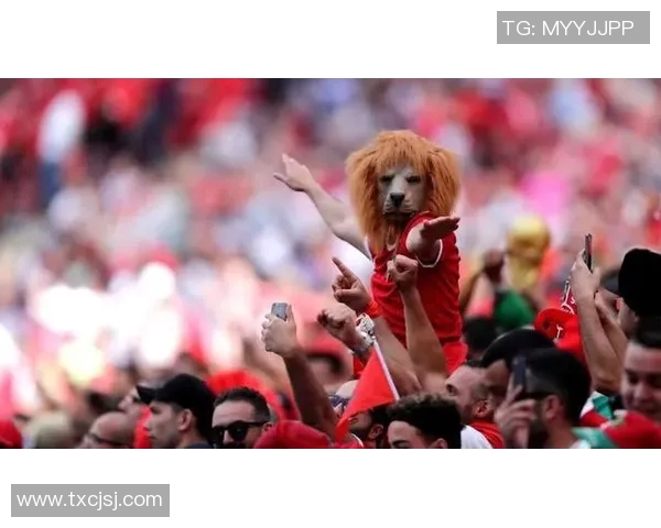 足球明星与粉丝们的心灵互动与激情瞬间共鸣的故事 足球明星与粉丝们的心灵互动与激情瞬间共鸣的故事