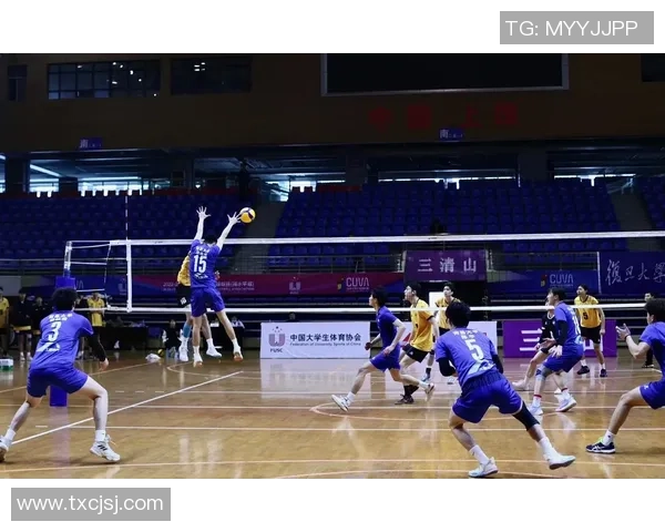 权威发布：2023年排球耐力实力榜单全面解析与前瞻