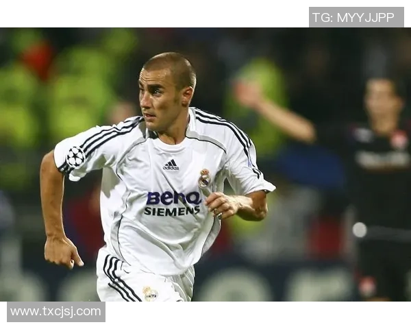 意大利足球传奇巨星的辉煌历程与影响力探讨 意大利足球传奇巨星的辉煌历程与影响力探讨