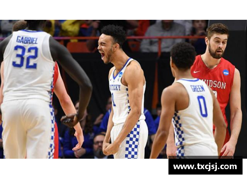NBA：波斯野猫的崛起与全球迷恋