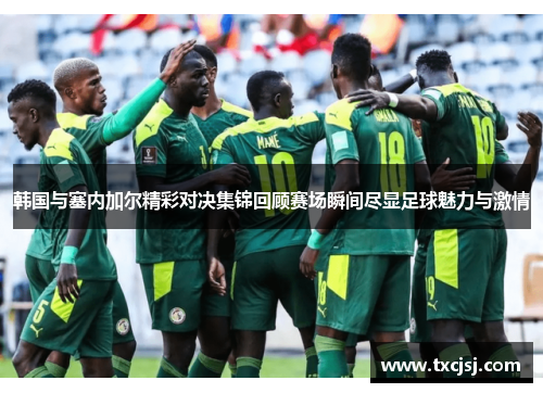 韩国与塞内加尔精彩对决集锦回顾赛场瞬间尽显足球魅力与激情